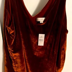 Soft and Beautiful Velvet Top